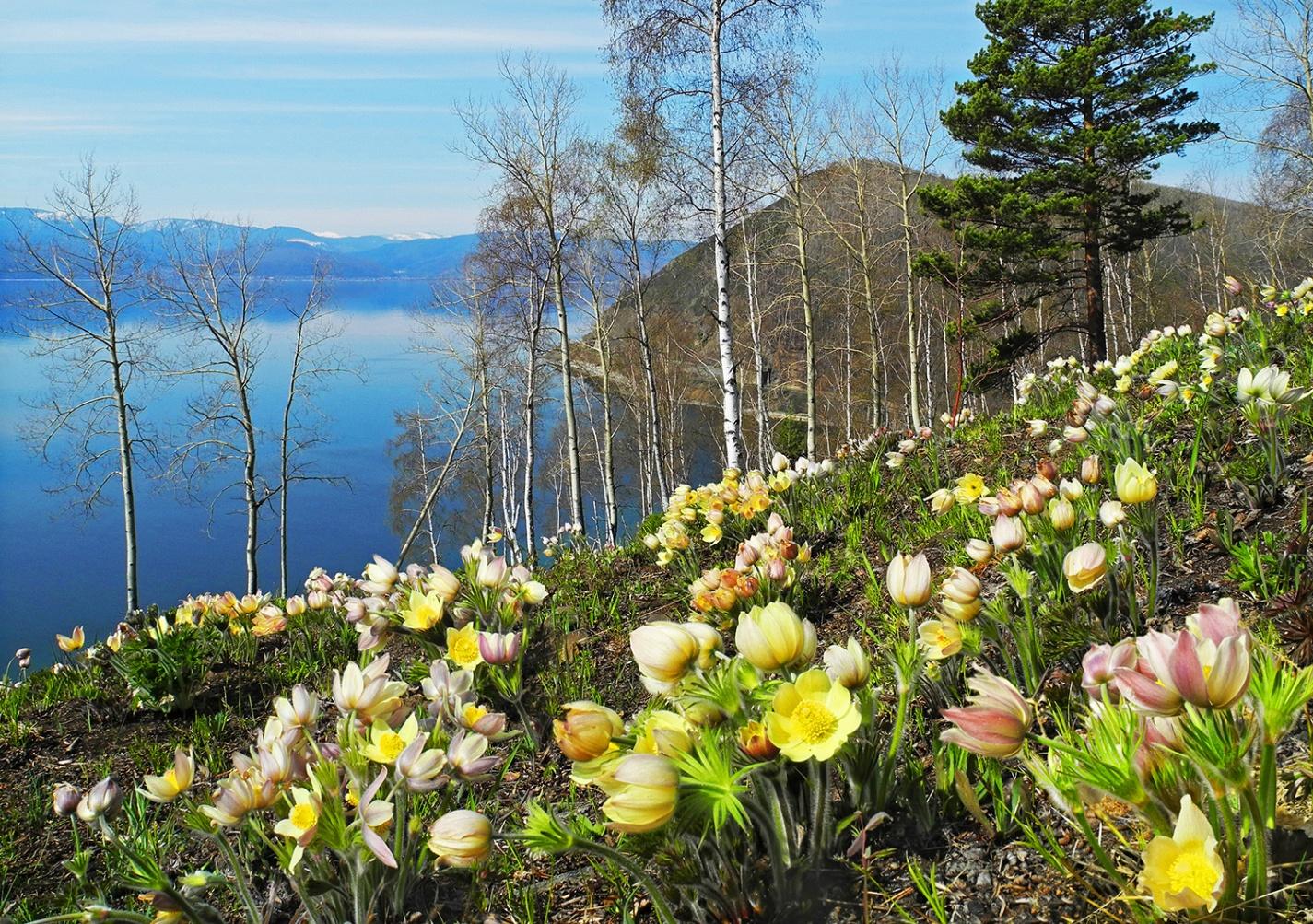 Концерт «Музыка весны»
