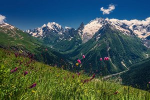 Книжно-иллюстративная выставка «Весь мир на ладони…»