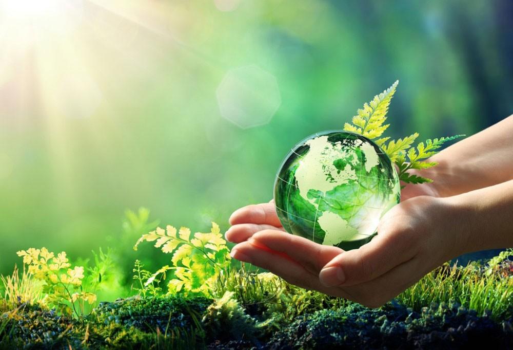 Эко - путешествие «Мы дети твои, дорогая Земля!»