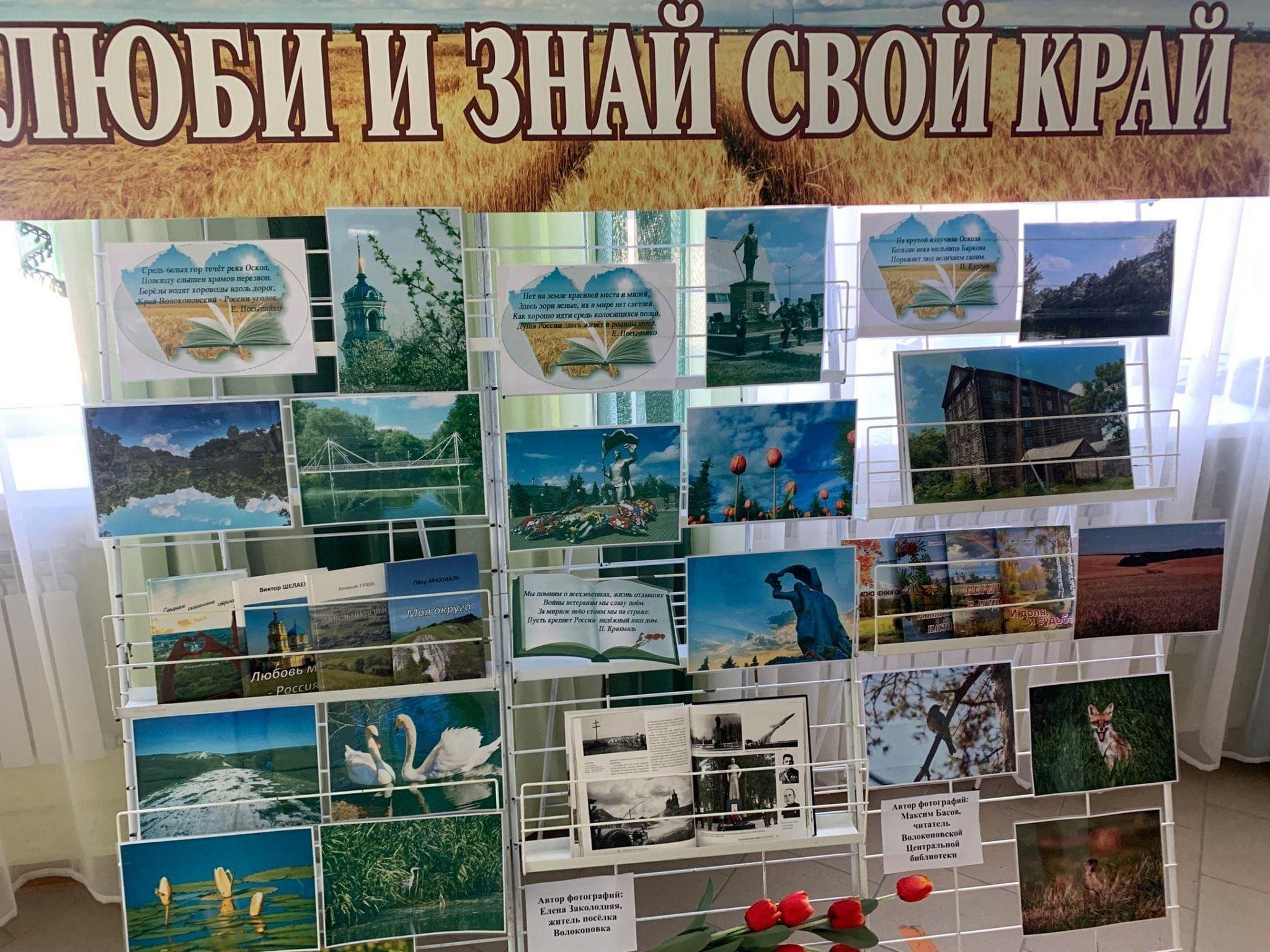 Книжная выставка «Историю района открывает книга»