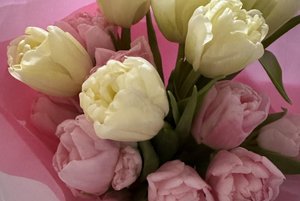 «Самым милым и любимым»