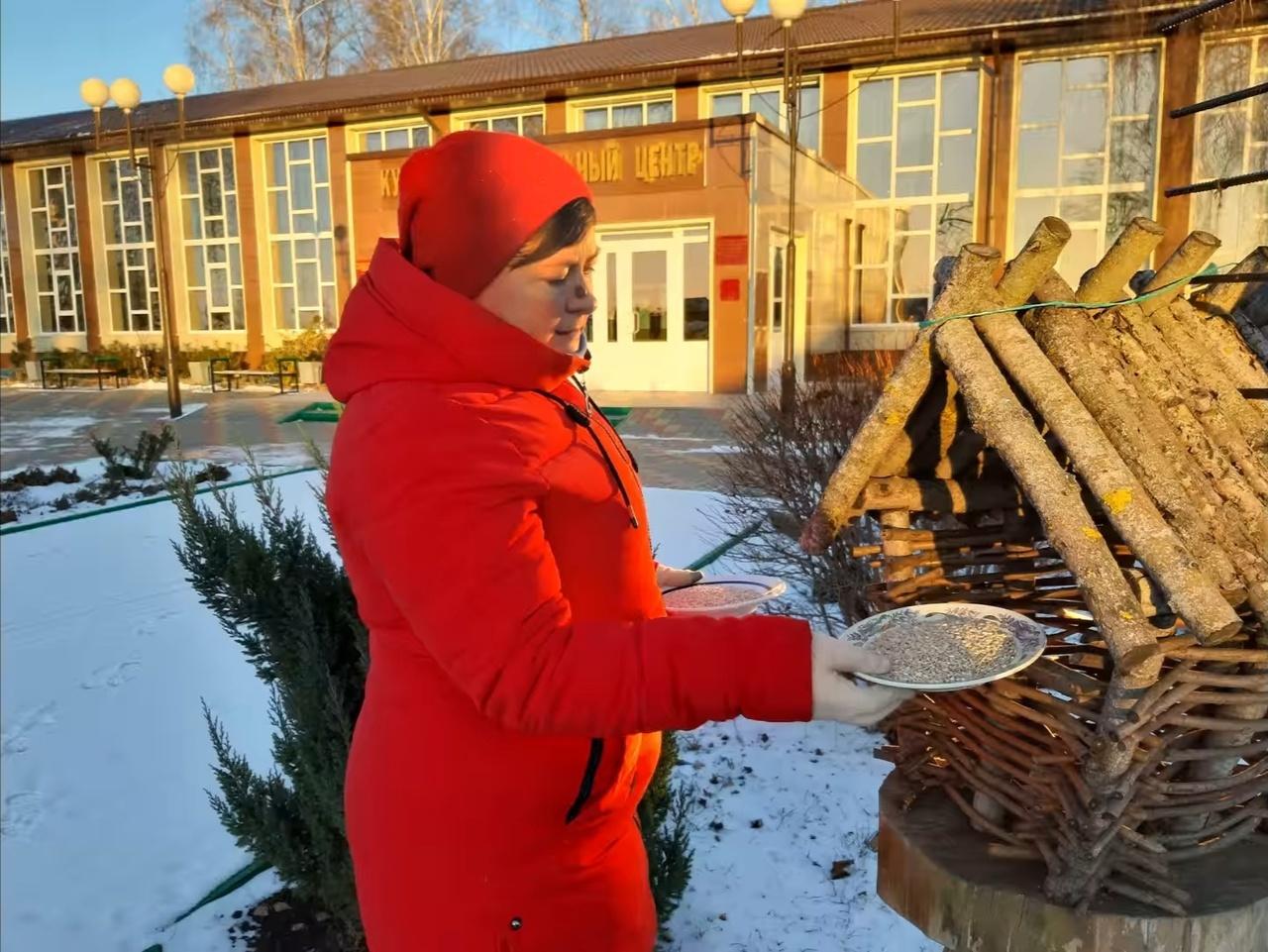 Акция «Накорми птиц зимой»