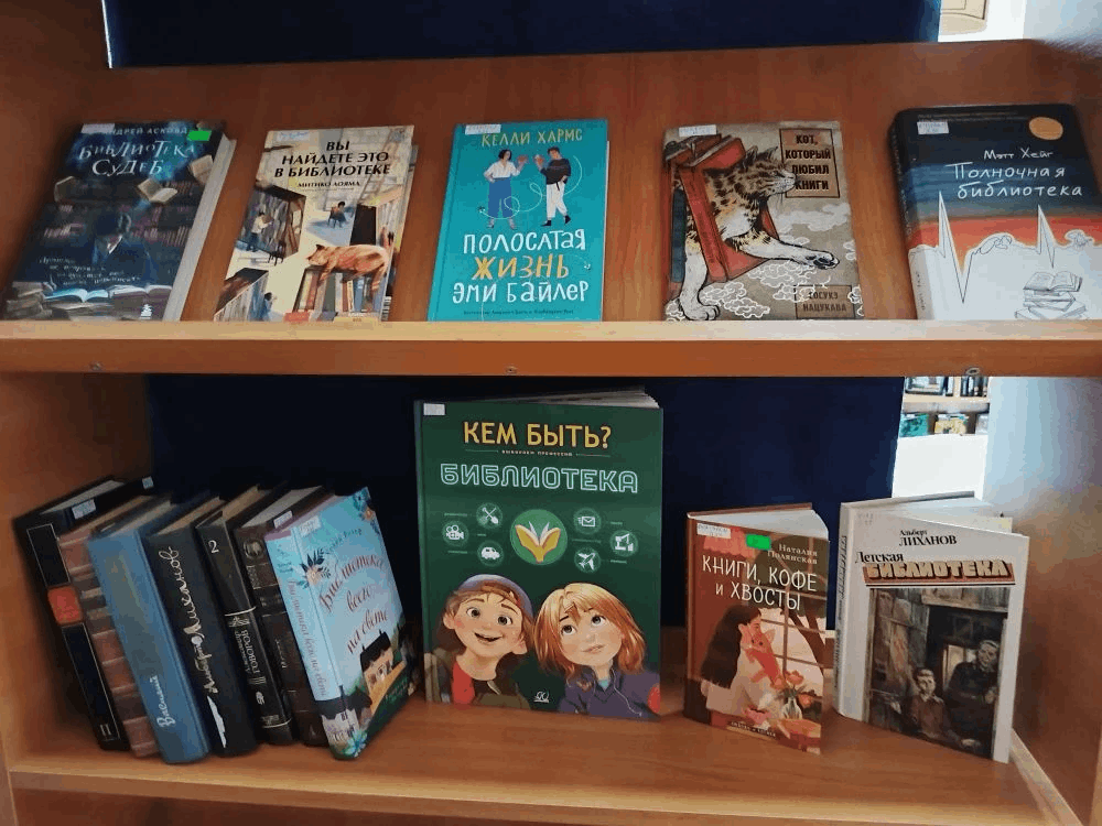 «В мир библиотечных тайн»