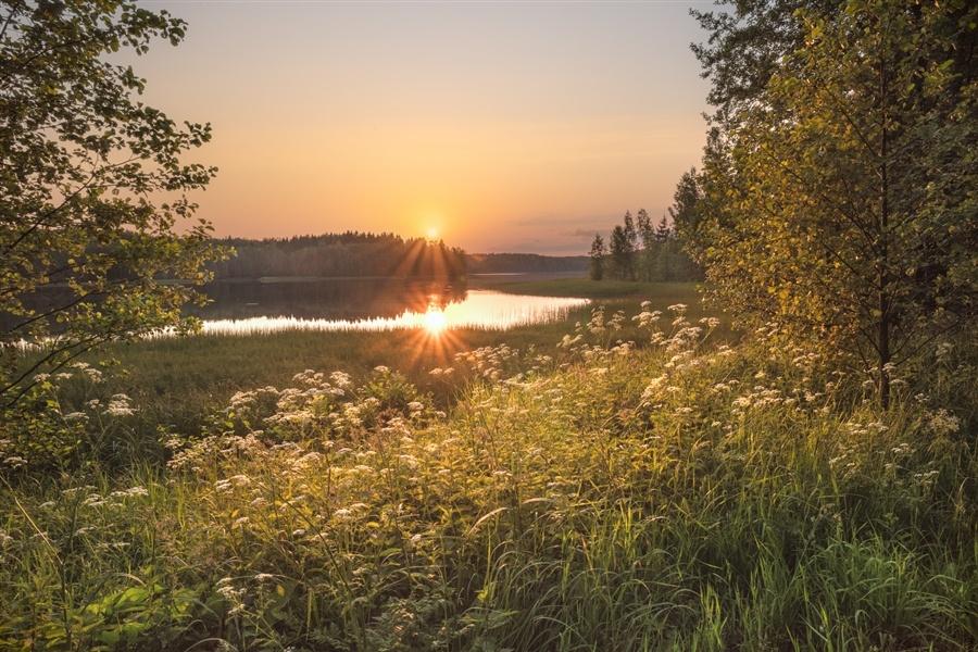 Золотые, летние денечки