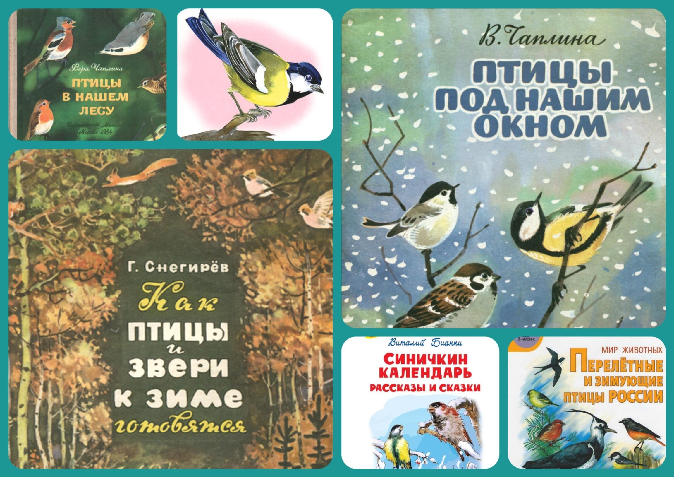 Экологический час «Синичка – воробью сестричка»