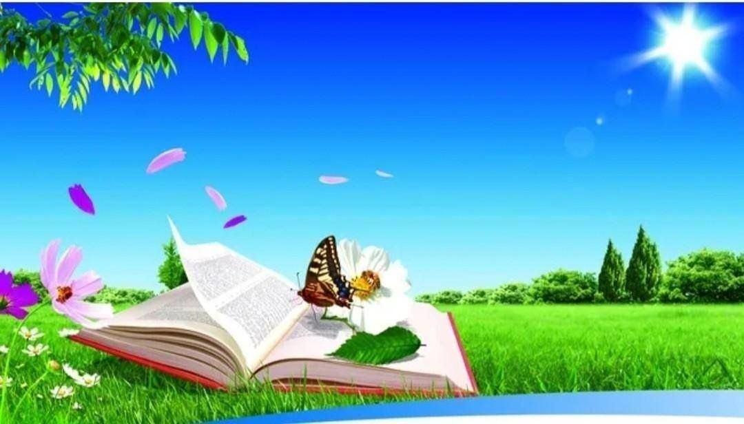 «Летнее путешествие в книжную страну»