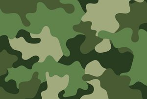 Программа «Их подвиг не сотрут года»