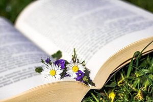 Книжная выставка «В природе столько красоты»