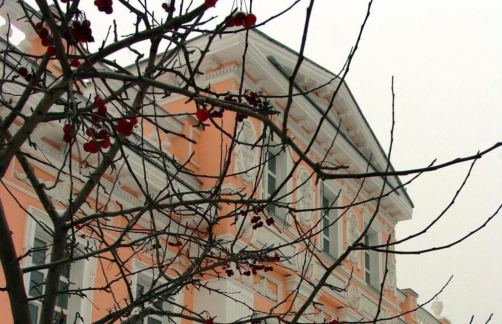 Интерактивная программа «Театр, где играем мы»