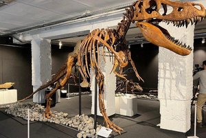 Занятие «Эпоха динозавров»