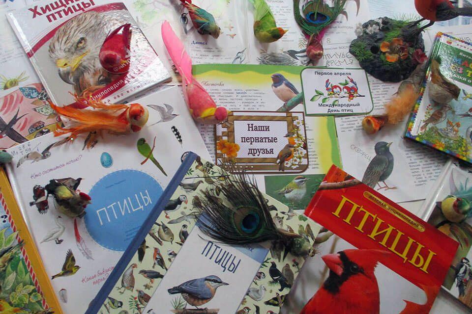«Наши пернатые друзья»