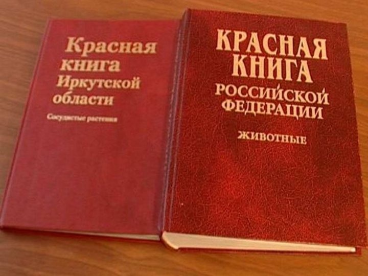 Изображение красной книги