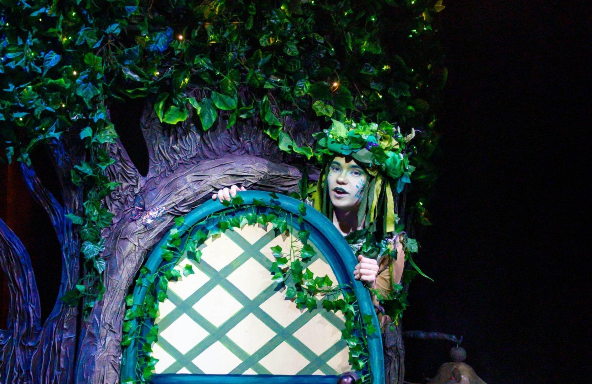 Спектакль «Приключения эльфа»