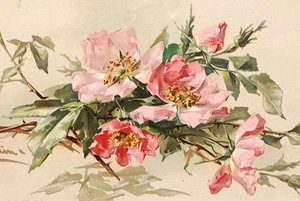 «Цветочная королева»