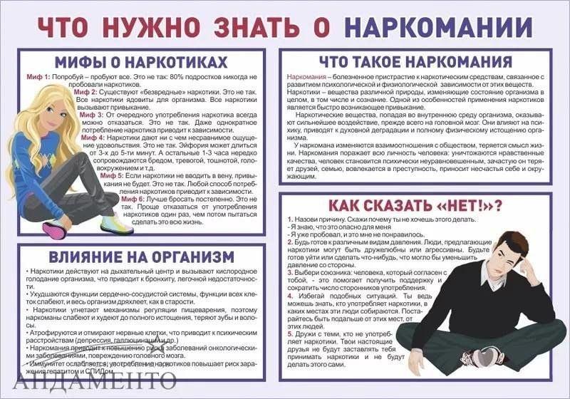 «Горькая правда о сладкой жизни»