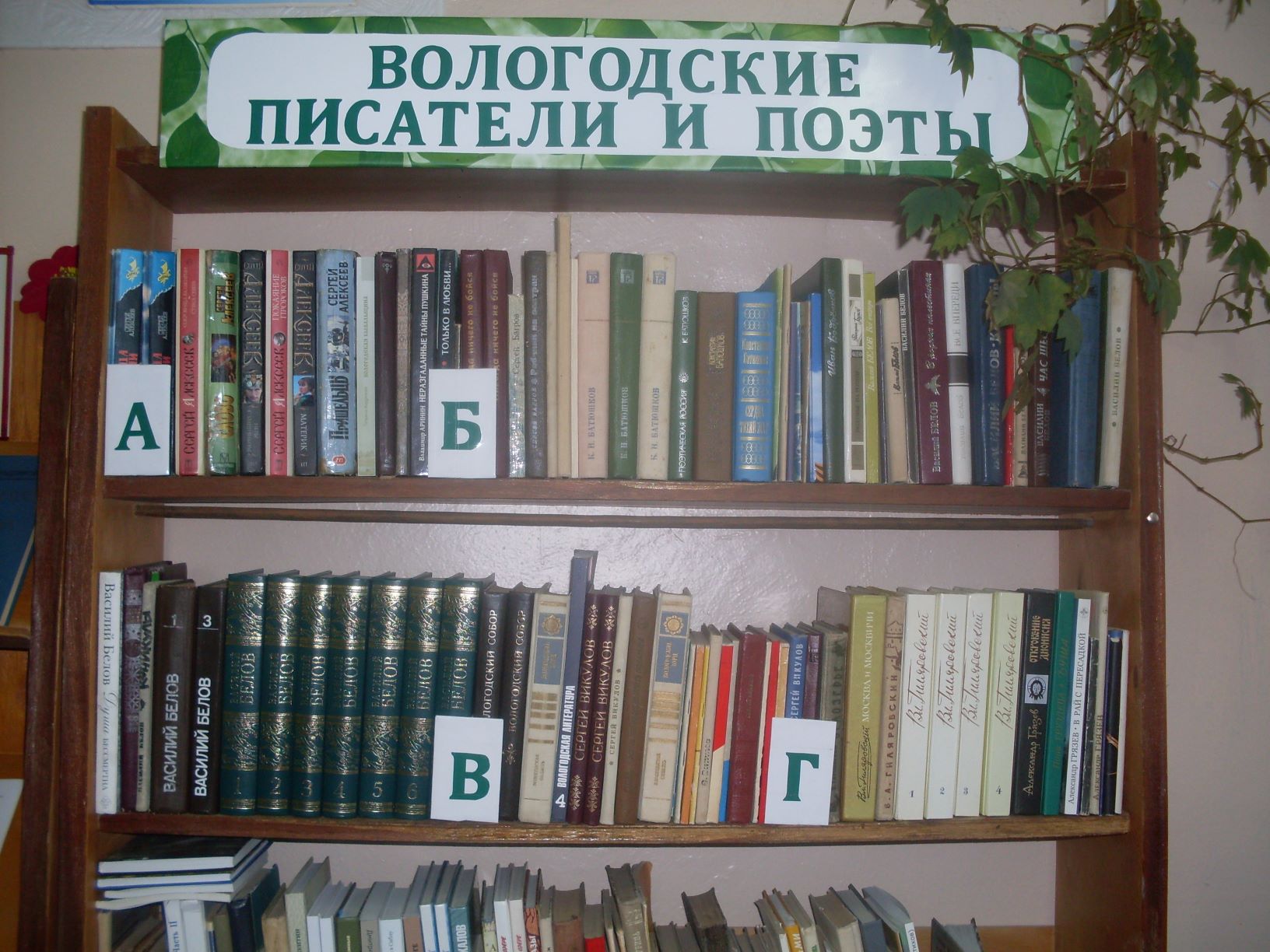 Вологодская область библиотека