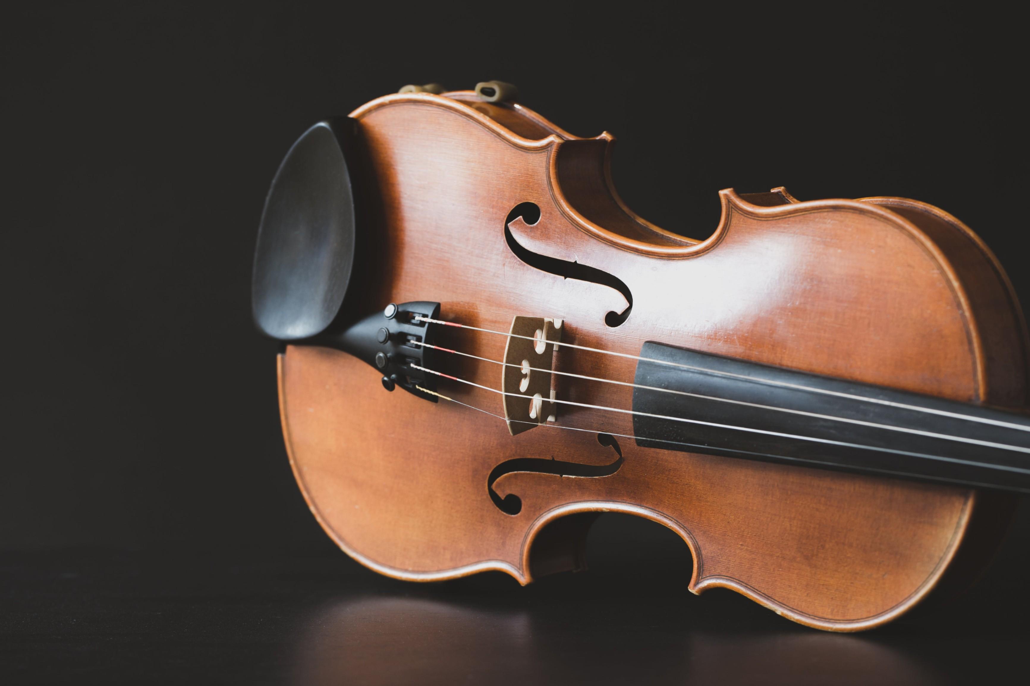 Мастер-класс М. В. Шишковой