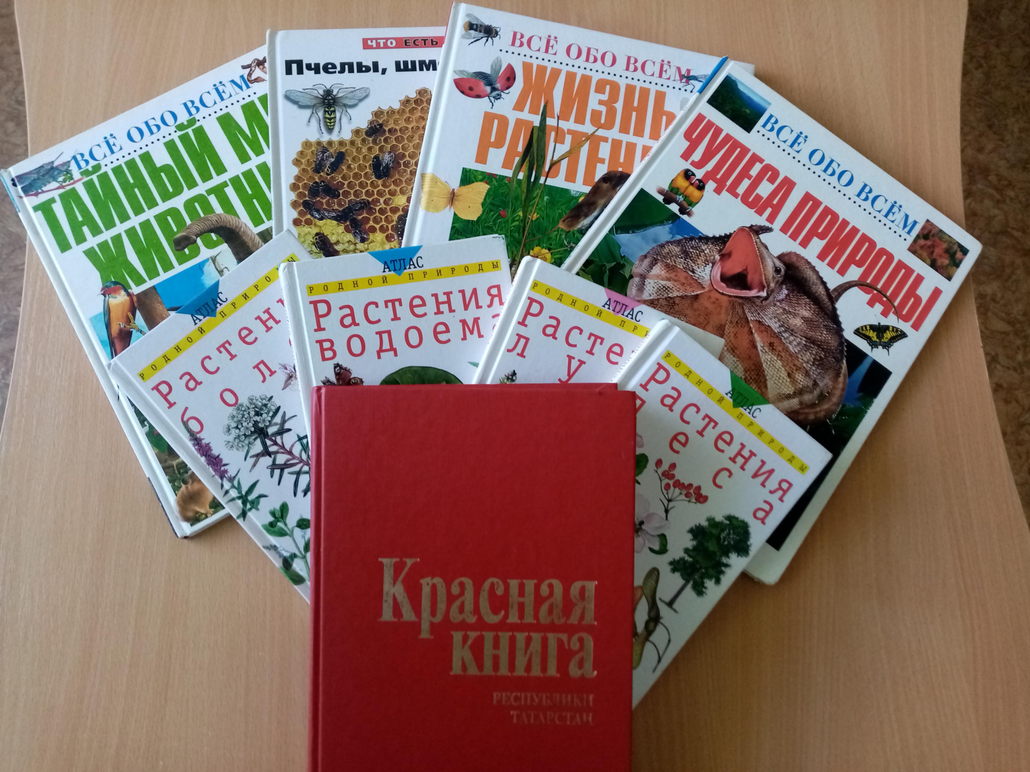 Выставка–викторина «Лесное царство, земное государство»
