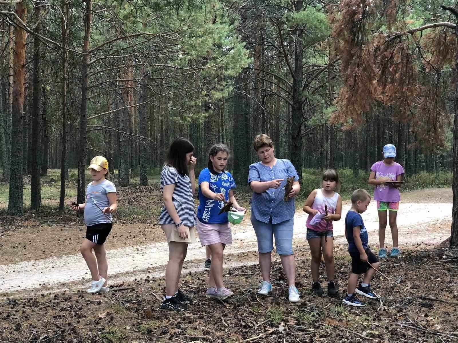 Программа «День здоровья»
