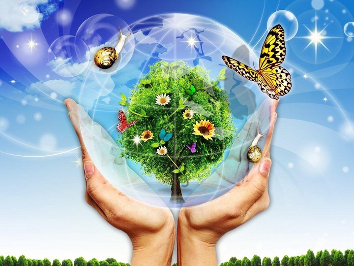 Экологическая программа «Меняй себя, а не планету!»