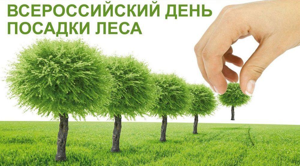 «День посадки леса»