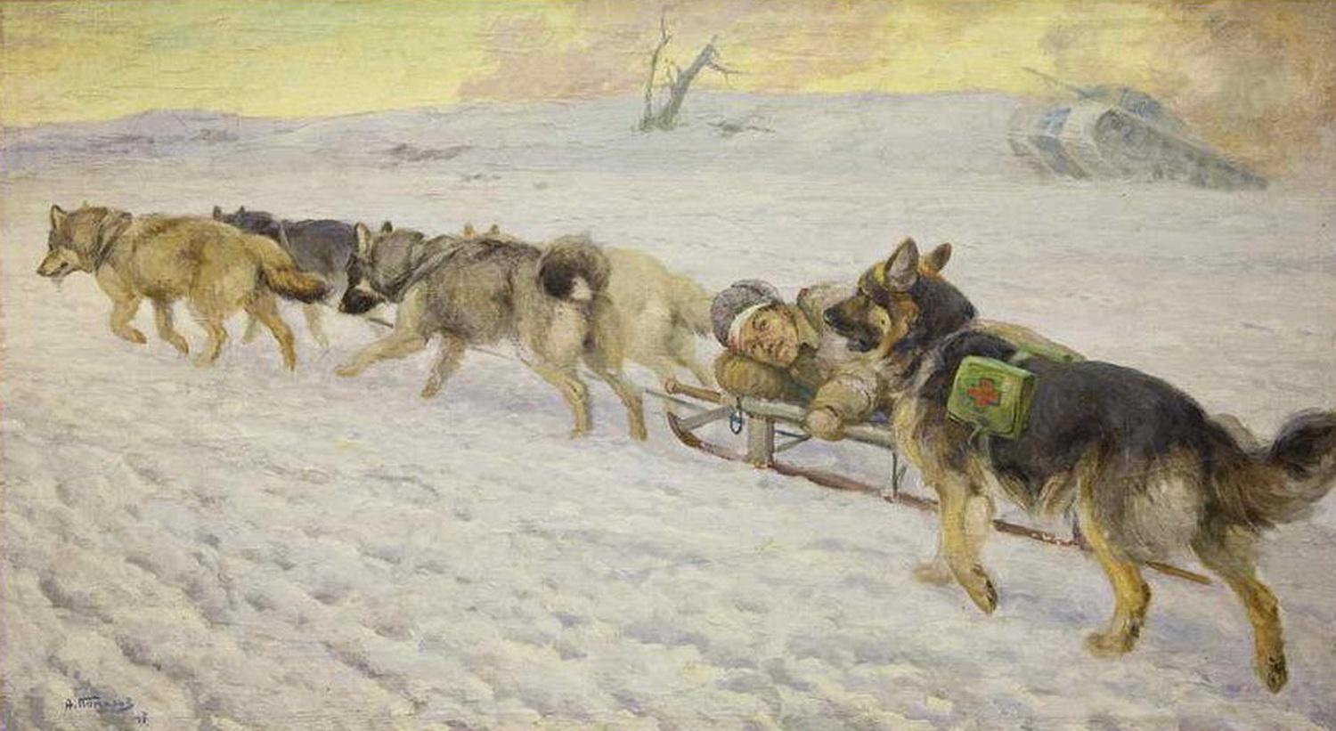 Выставка «Животные в годы Великой Отечественной войны»