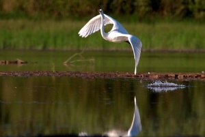 Выставка «Обретенные мгновения»