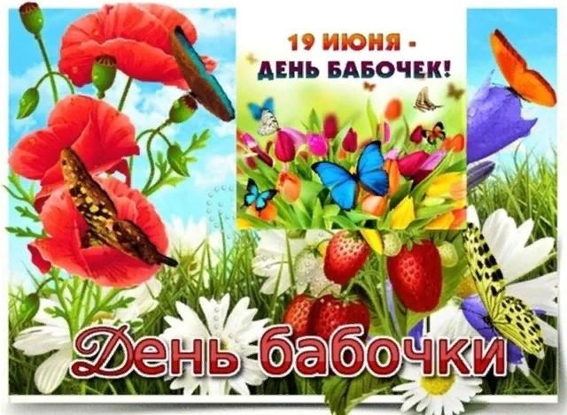 «День бабочек»