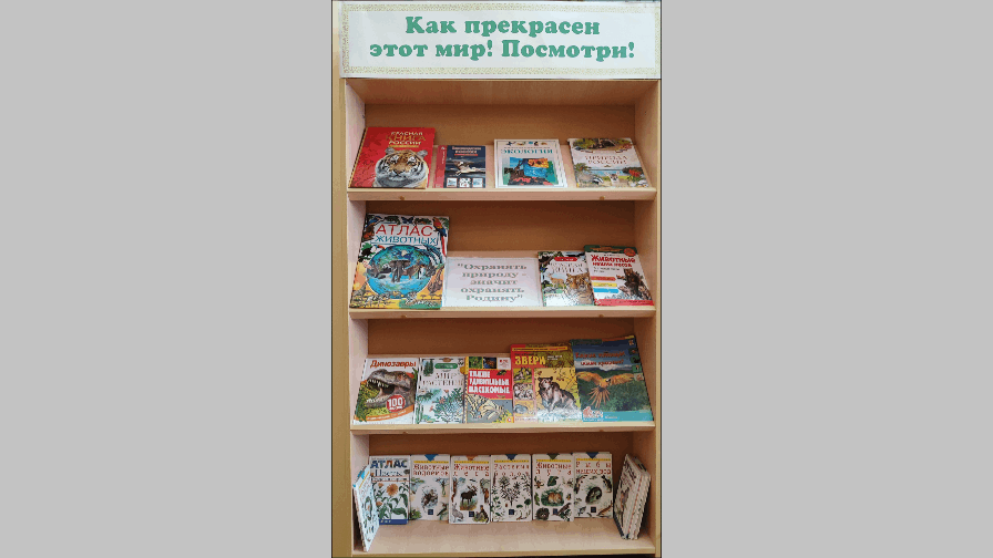 Книжная выставка «Как прекрасен этот мир! Посмотри!»