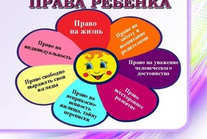 Программа «Твои права и обязанности»