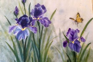 Программа «Ирисы»