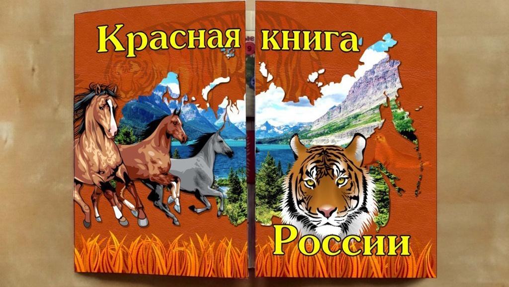 Видеолекторий «О Красной книге»