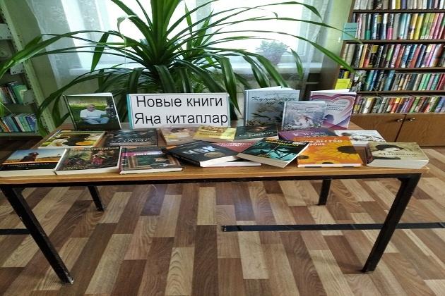 Информационный час «Встреча с новой книгой»