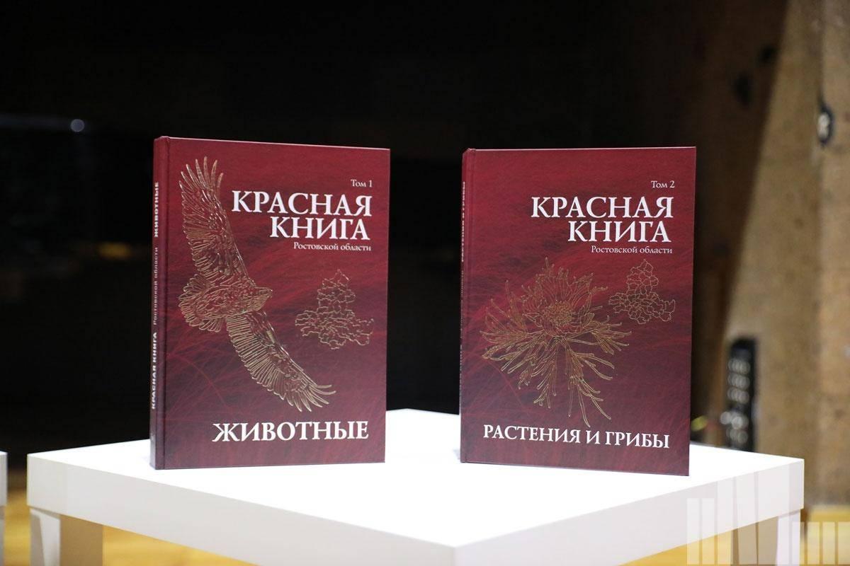 Экологическая познавательная программа «Галерея Красной книги»