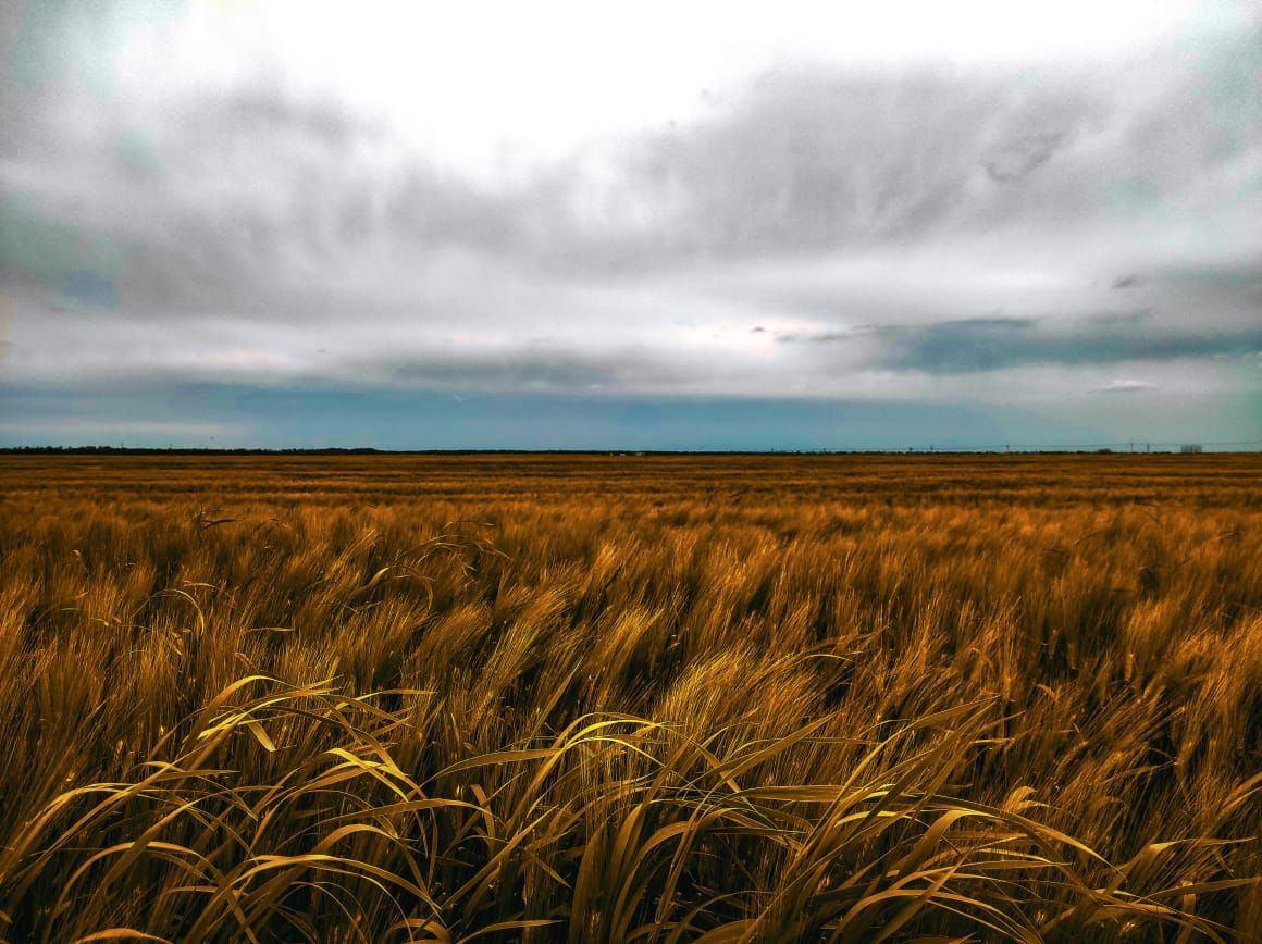 «Фотография. Анисько Максим» – выставка работ учащейся ДХШ им. В.А.Филиппова
