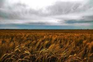 «Фотография. Анисько Максим» – выставка работ учащейся ДХШ им. В.А.Филиппова
