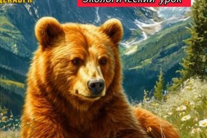 Экологический урок «И это все - медведи»