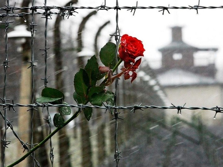 Информационный час «Международный день освобождения узников фашистских концлагерей»