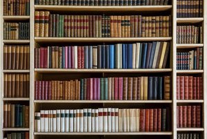 Литературная программа «Тайны книжных полок»