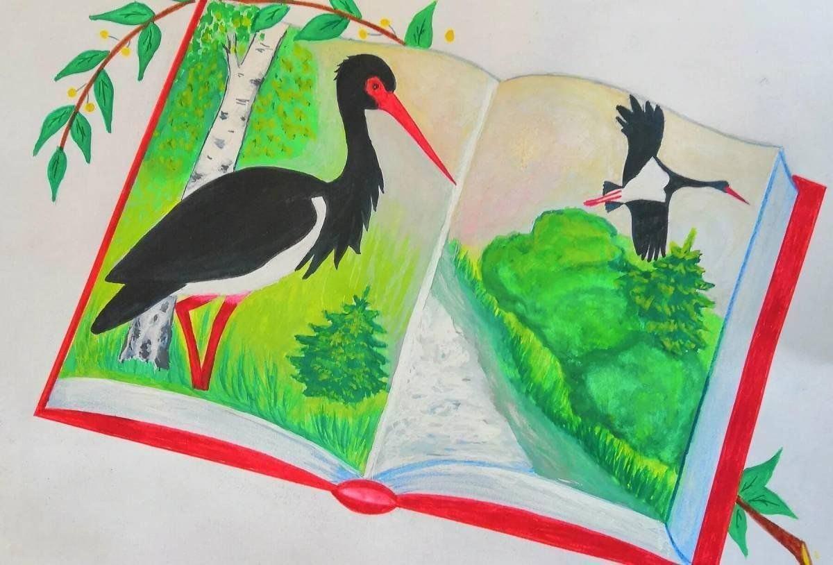 Викторина «По экологической тропе Красной книги»
