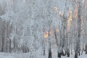 Литературная программа «Зима – пора чудес!»