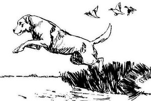 Программа «Пазлы по-тургеневски»