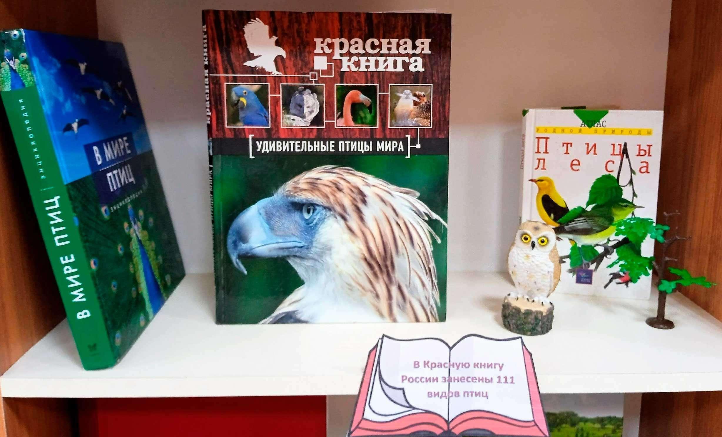 Экологический калейдоскоп «Пернатые друзья: Праздник птиц»