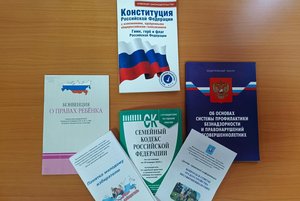 Программа «Знакомьтесь, основной закон»