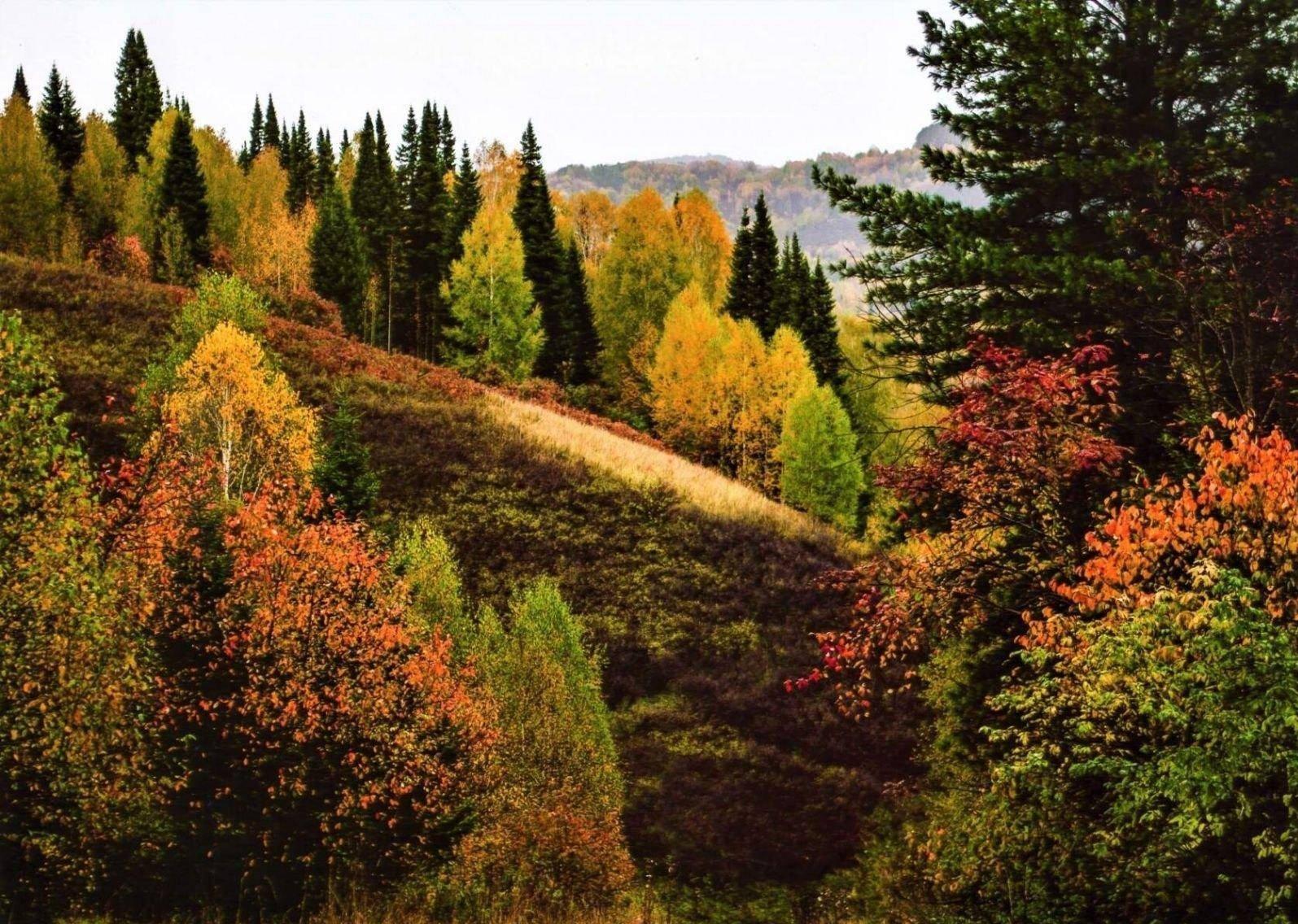 Игра «Экоквиз»