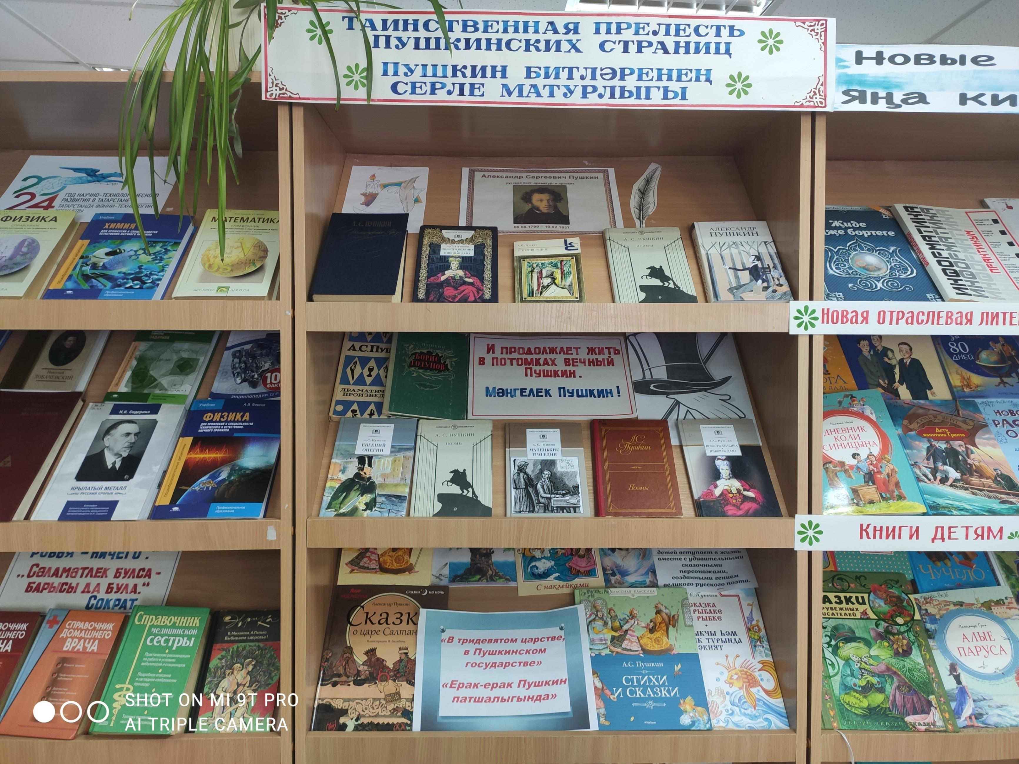 Программа «В гости к Пушкину спешу»