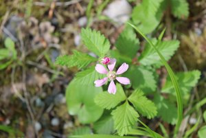 Экспозиция «Жизнь в гармонии с природой»