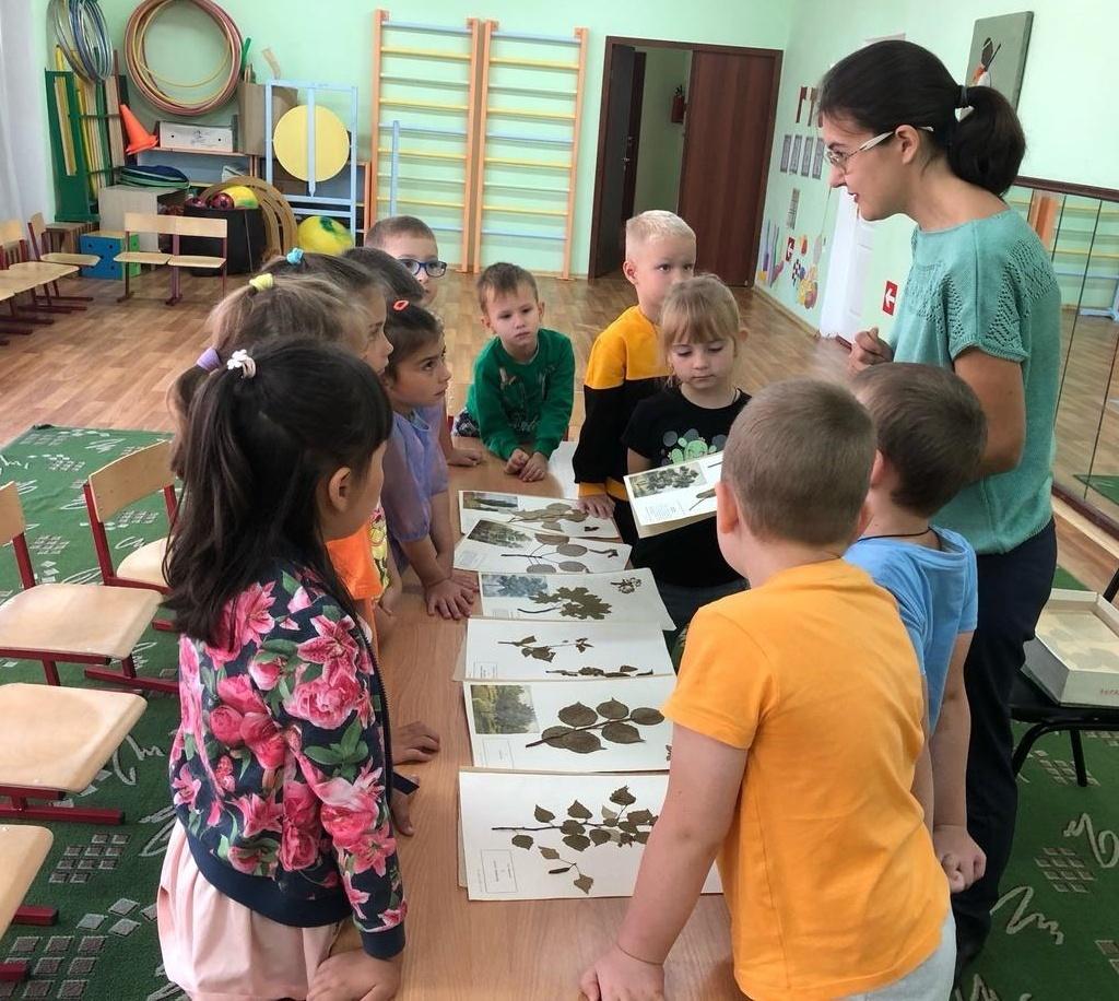 Интерактивная программа «Калейдоскоп профессий»