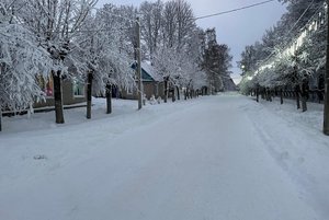 Программа «Территория волшебства»