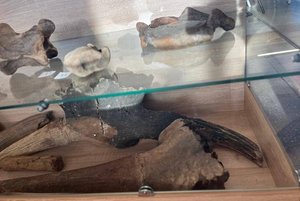 Выставка «На заре истории»